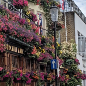 IMG_20190705_074409.jpg